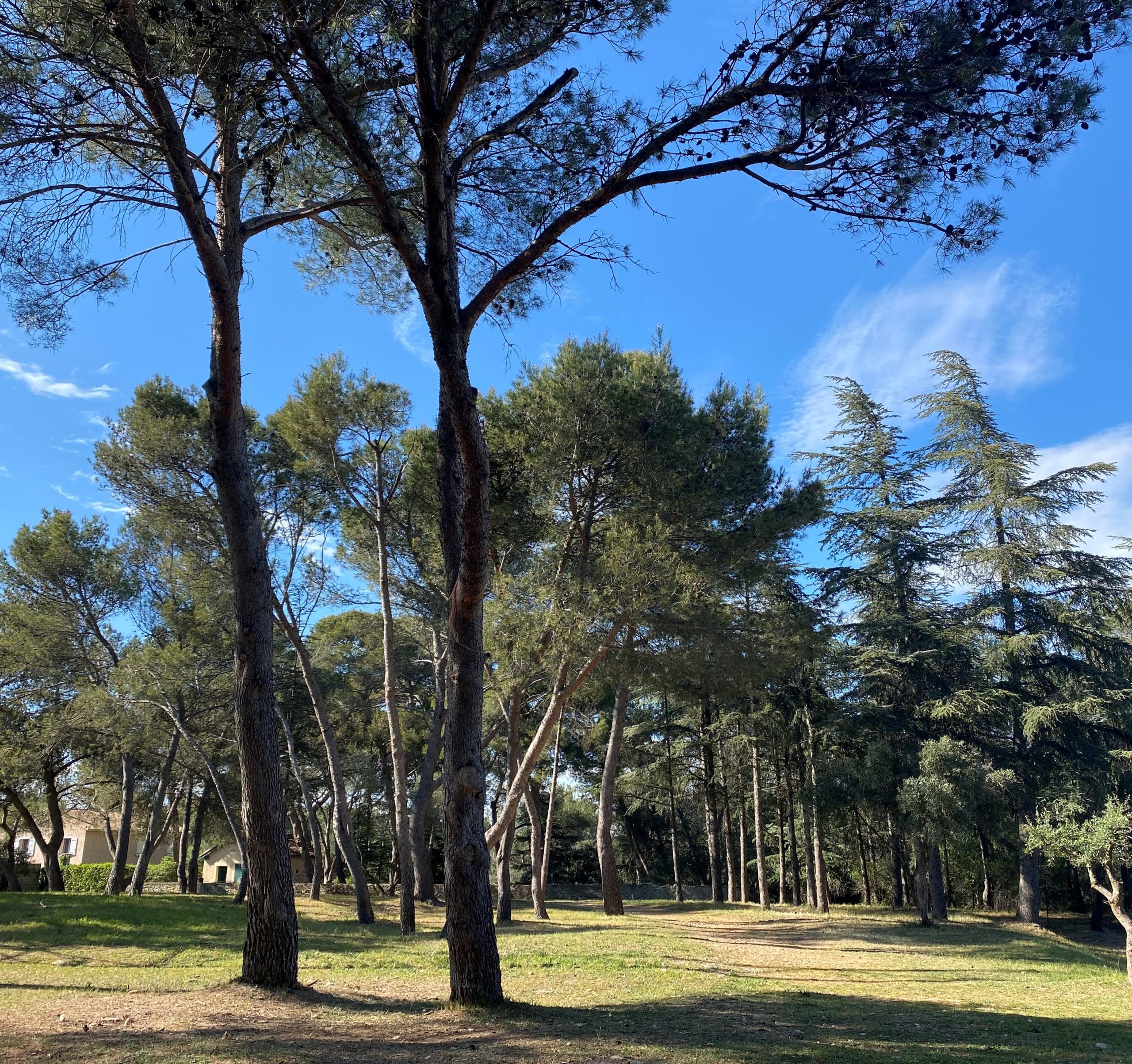 Parc de Zozo